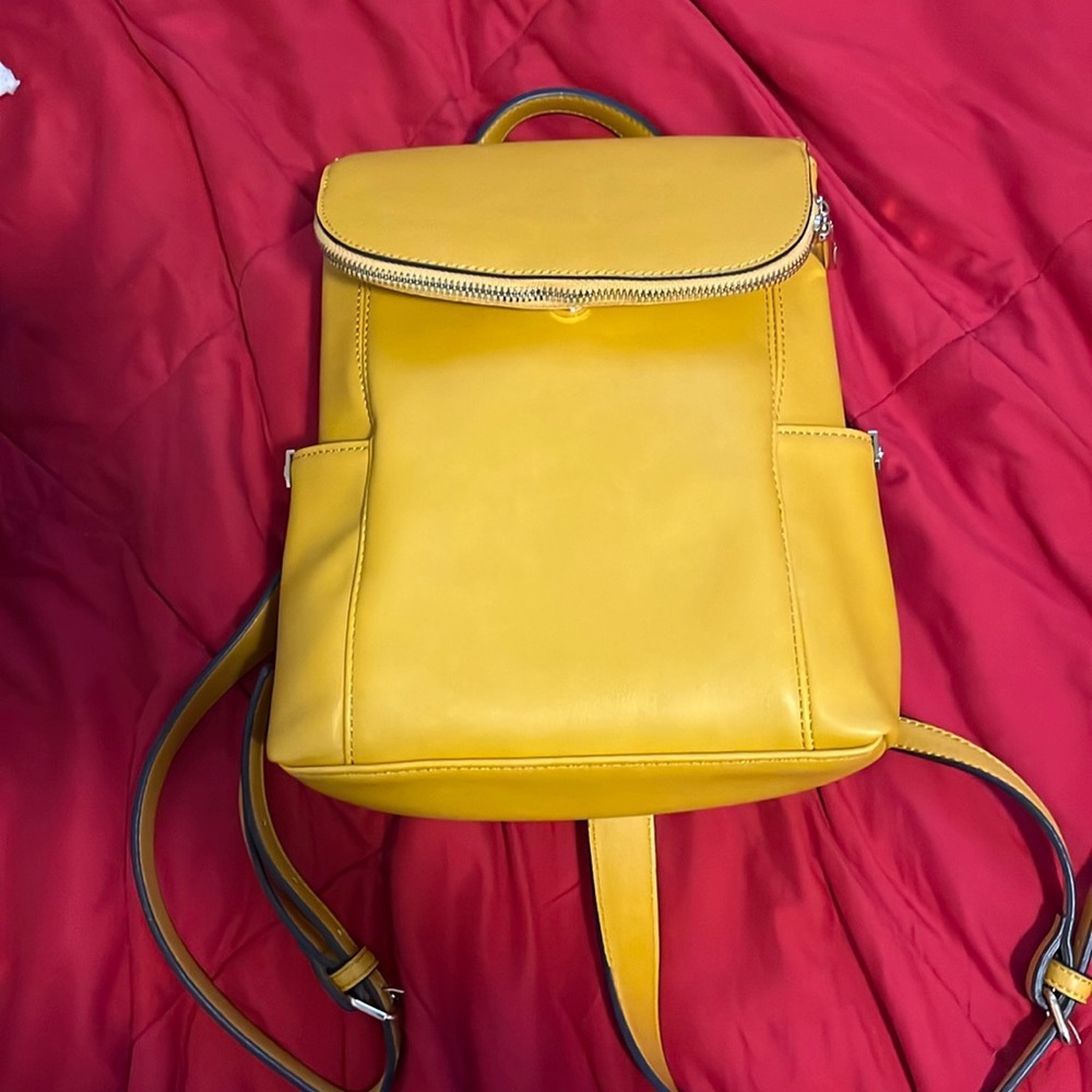 Gold Aldo Bag